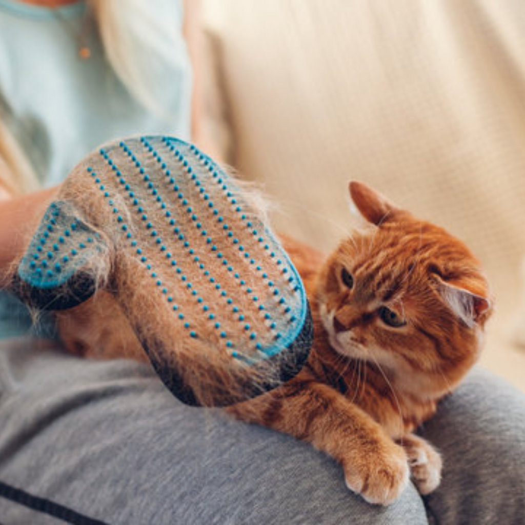 🧤 Guante Removedor de Pelo Bobo Touch – Para Perros y Gatos