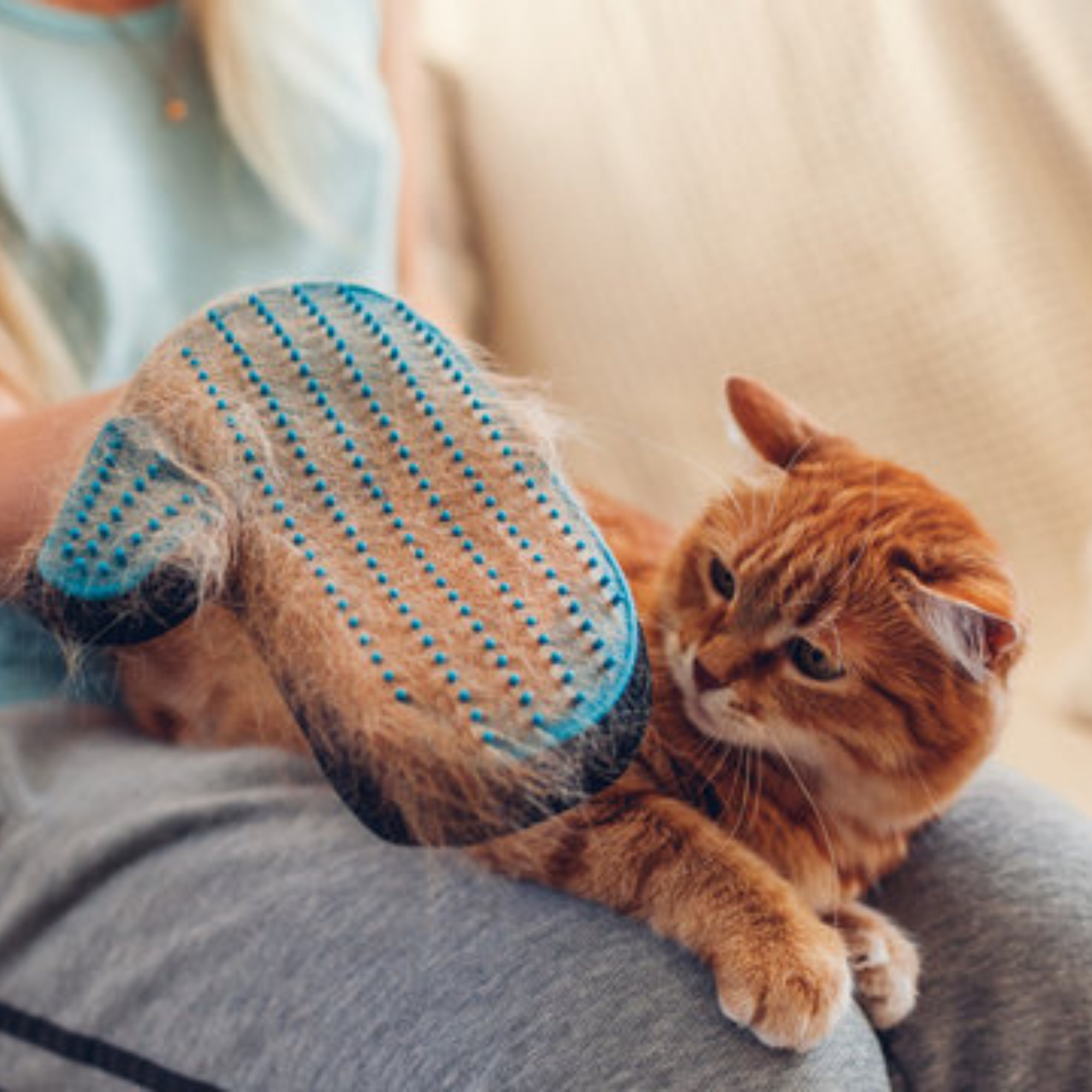 🧤 Guante Removedor de Pelo Bobo Touch – Para Perros y Gatos